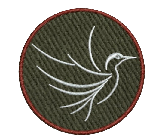 Rare Bird Recruiting